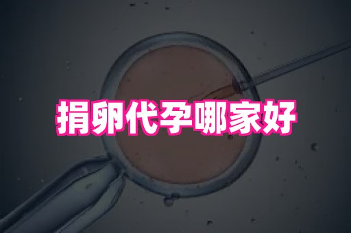 福建助孕网站 3